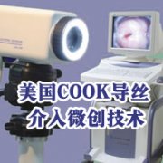ｃｏｏｋ导丝